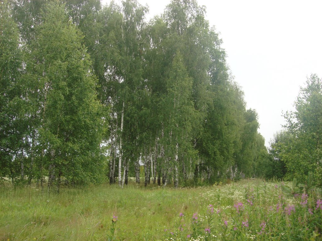 Якитория сеты заказать на дом