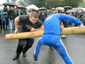 Ворота распашные Гет