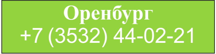 Вертикальное озеленение