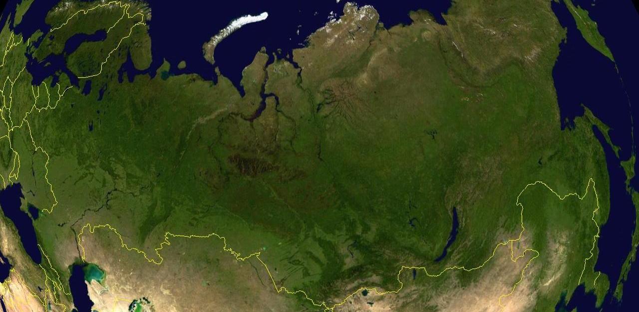 Вертикальное озеленение