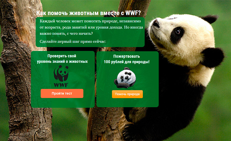 Wwf проекты в россии