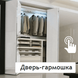 Дверь гармошка