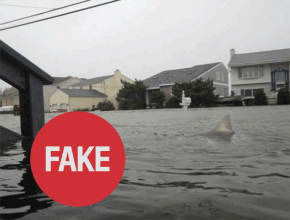  «7 фотографий-подделок урагана Sandy»