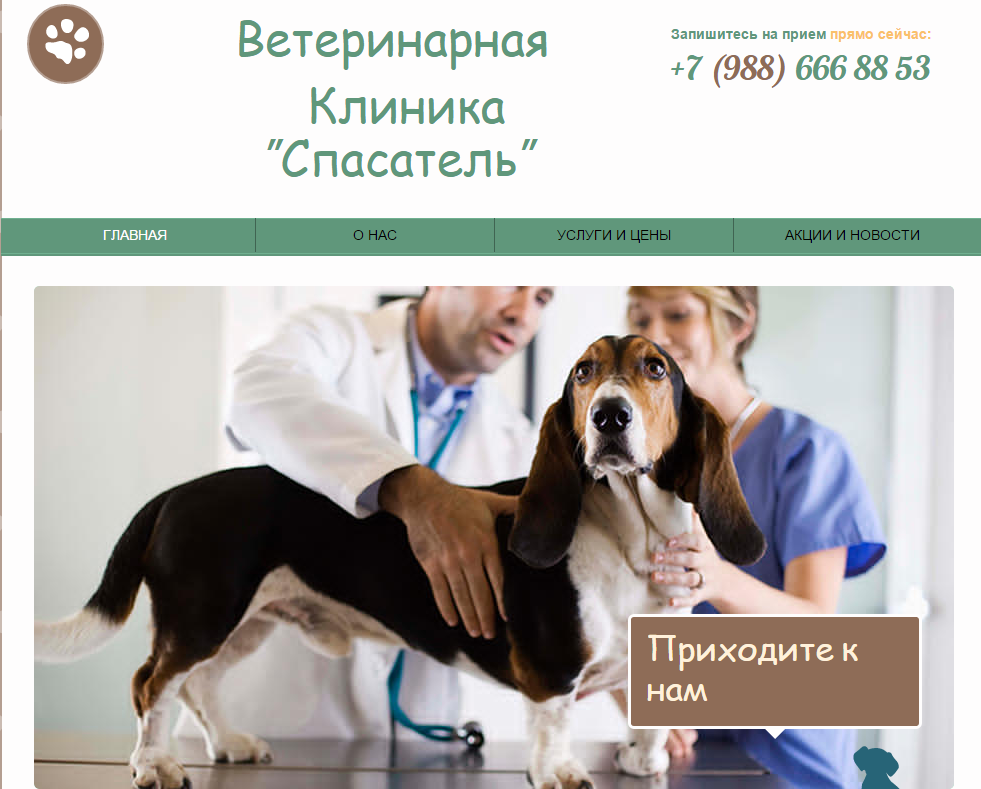 ветеринарные услуги