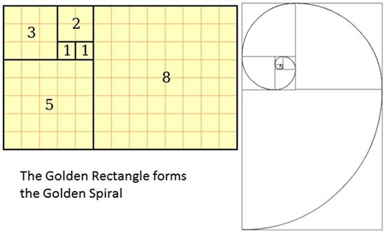 Как нарисовать золотой прямоугольник