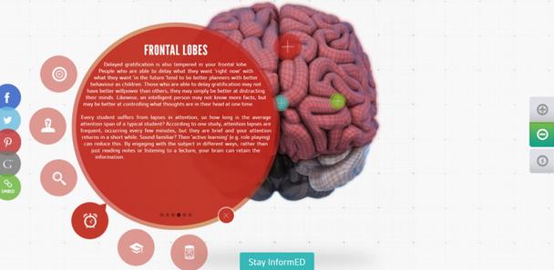 Интерактивная 3D-карта мозга