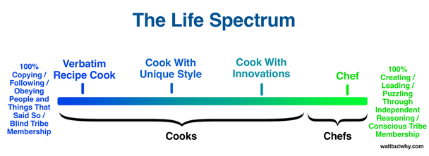 Как и в кулинарном мире, во всех прочих сферах диапазон от повара к шефу не бинарен, а лежит на спектре