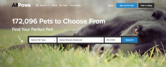 all-paws-landing-page-568x230.jpg