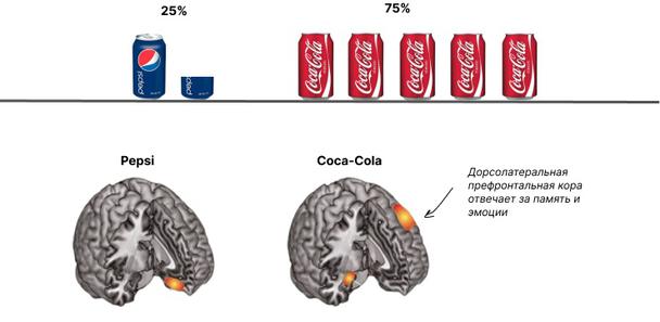 В момент выбора дополнительно активировался мозг во внутренней префронтальной коре. Так впервые учёные неврологически доказали влияние брендов на поведенческие предпочтения.