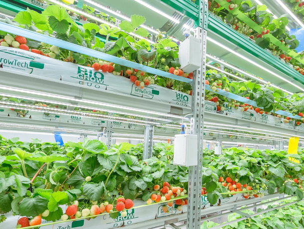 Как, например, вертикальные фермы iFarm с ПО и дронами для управления процессами выращивания салатов, ягод и овощей.