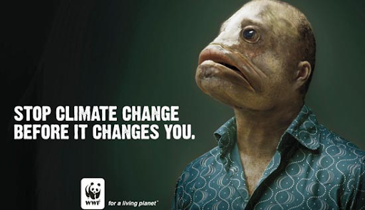 «Останови изменение климата, прежде чем он изменит тебя». Всемирный фонд дикой природы